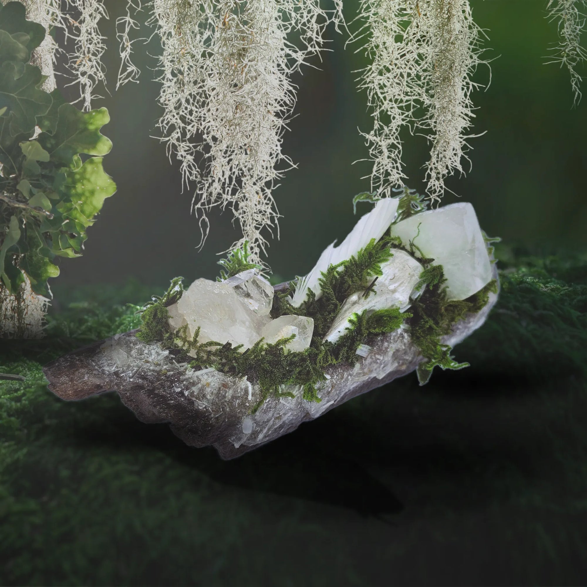 Crystal forest with Clear Quartz cluster, silver raven head, white feather, Apophyllite, Selenite, moss and driftwood on a dark green forest background