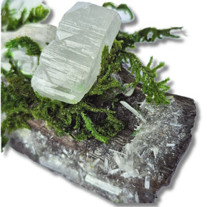 Silver Veil crystal forest featuring Clear Quartz, Selenite, Apophyllite, silver raven head, white feather, moss and driftwood on a white background