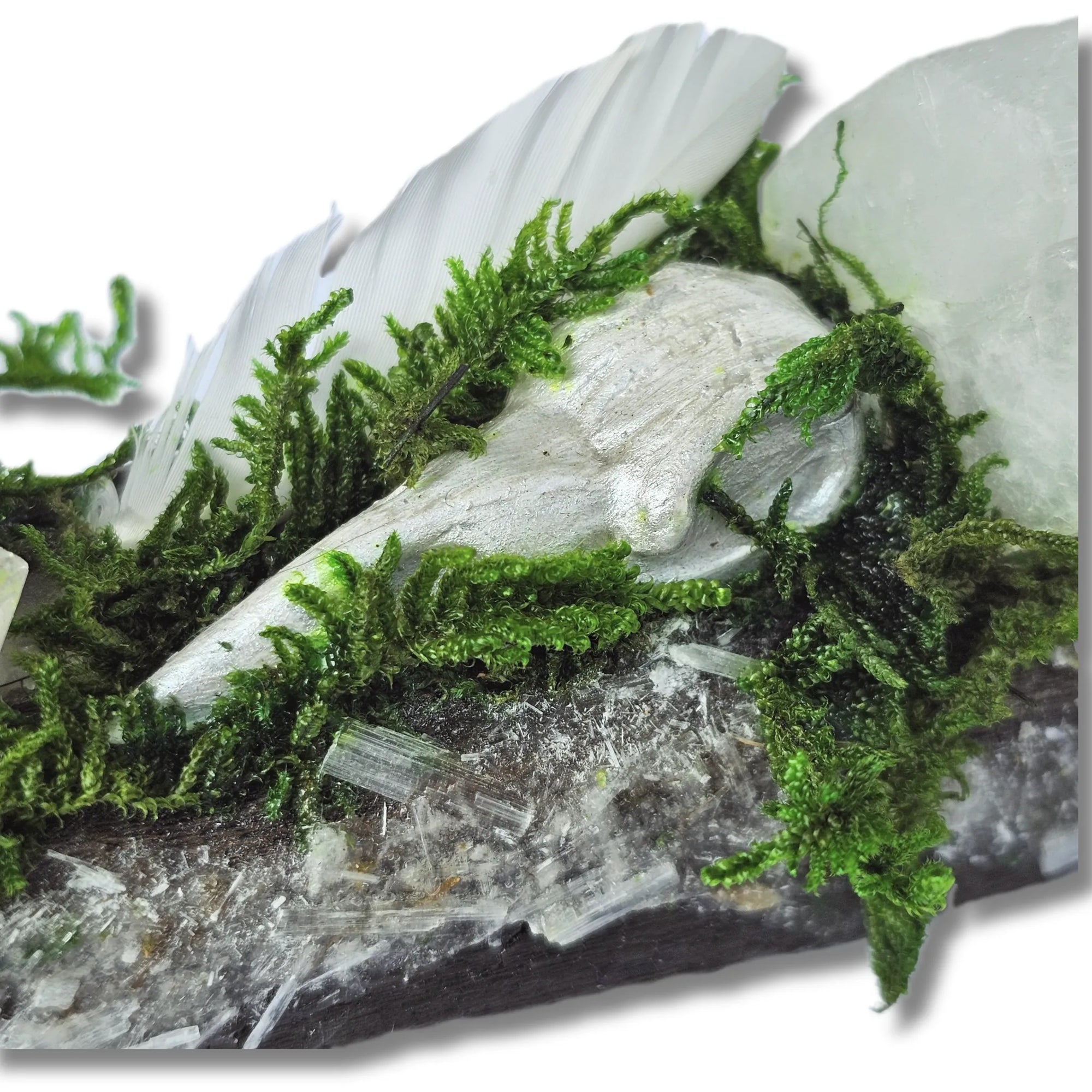 Silver Veil crystal forest featuring Clear Quartz, Selenite, Apophyllite, silver raven head, white feather, moss and driftwood on a white background
