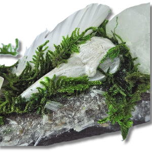 Silver Veil crystal forest featuring Clear Quartz, Selenite, Apophyllite, silver raven head, white feather, moss and driftwood on a white background