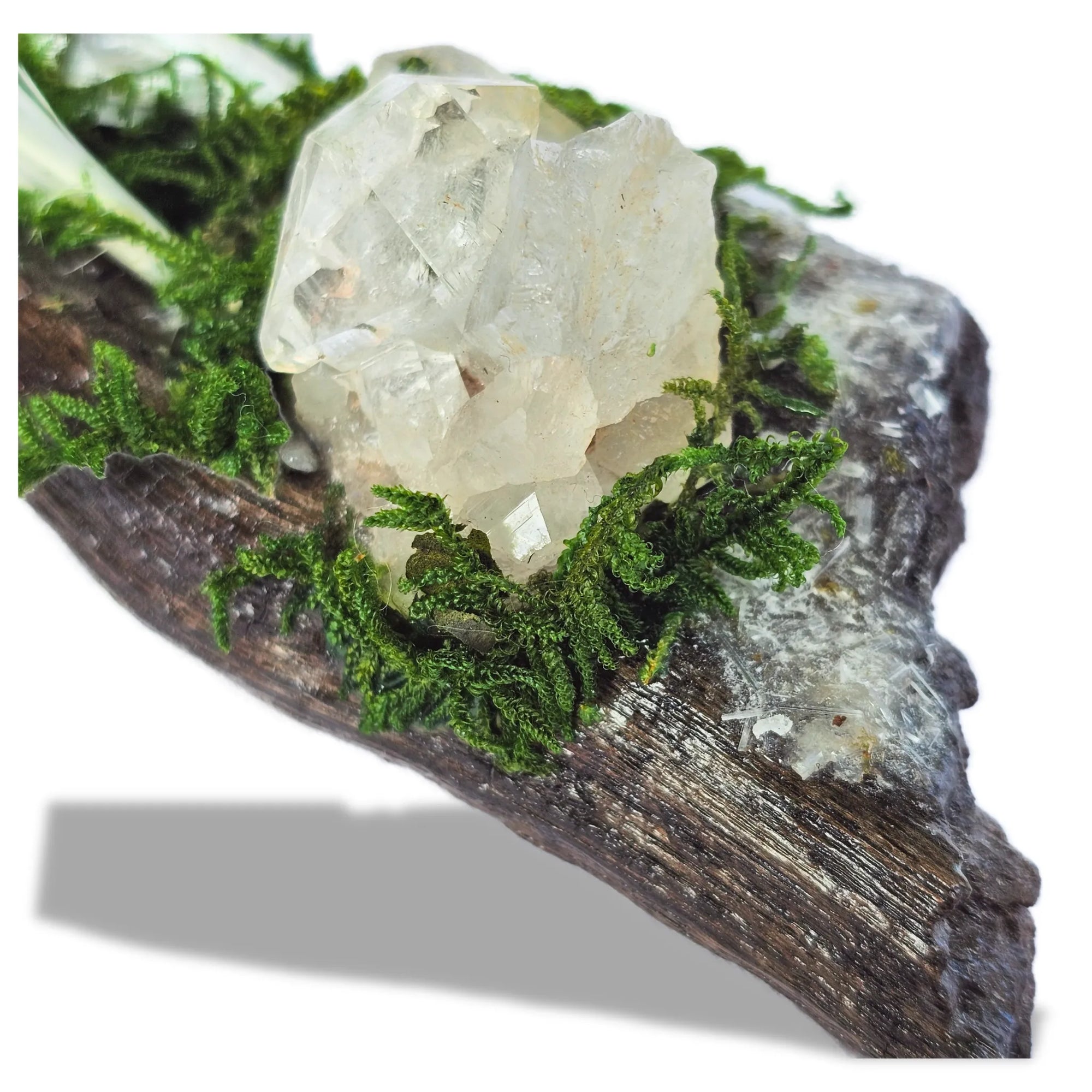 Silver Veil crystal forest featuring Clear Quartz, Selenite, Apophyllite, silver raven head, white feather, moss and driftwood on a white background