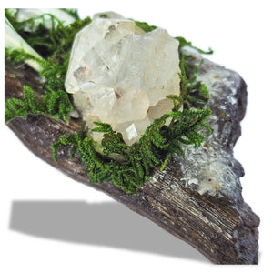 Silver Veil crystal forest featuring Clear Quartz, Selenite, Apophyllite, silver raven head, white feather, moss and driftwood on a white background