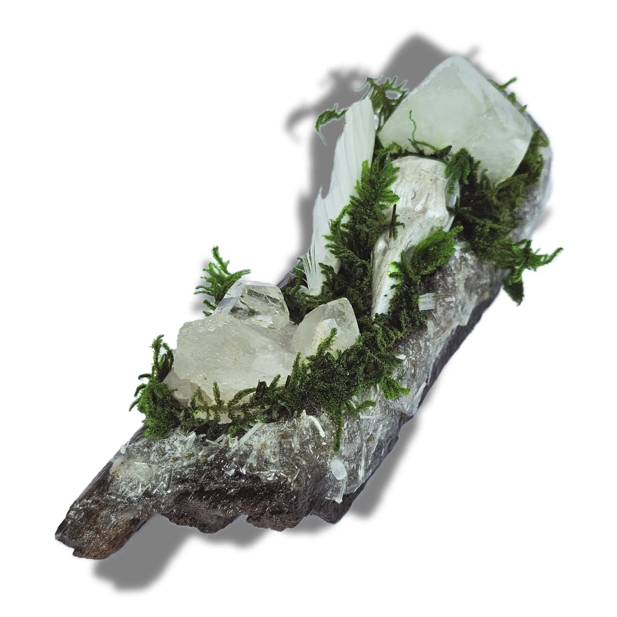 Silver Veil crystal forest featuring Clear Quartz, Selenite, Apophyllite, silver raven head, white feather, moss and driftwood on a white background