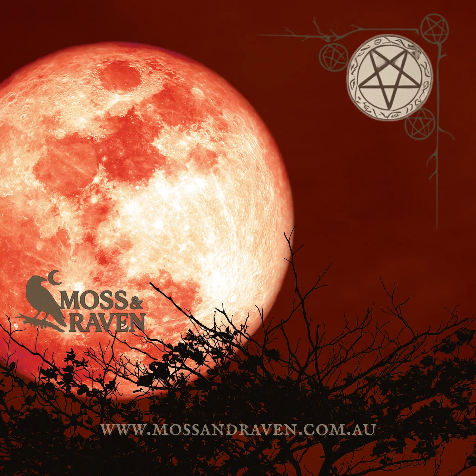 Strawberry Full Moon in Sagittarius rising behind tree branches, with Moss & Raven logo and pentacle design overlay – ritual image for June 2025 lunar event.
