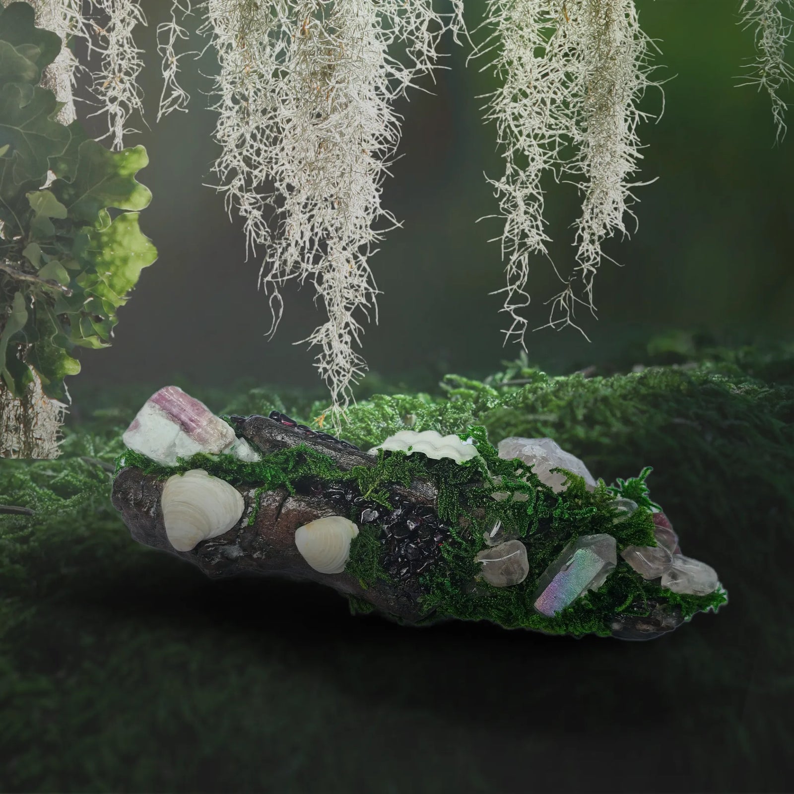 Handmade crystal forest with garnet, tourmaline, rose quartz, and shells on driftwood – photographed outdoors by Moss & Raven Australia