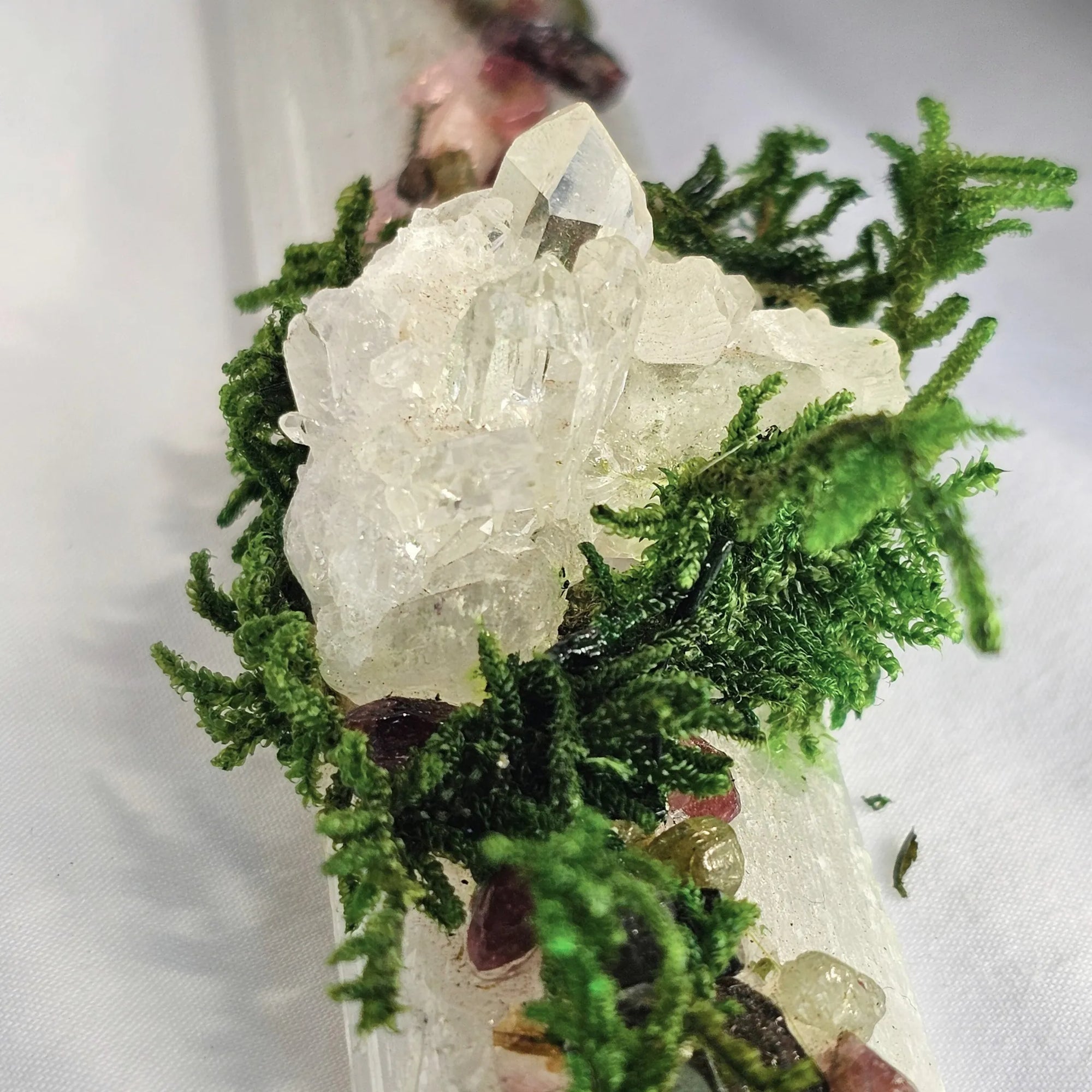 Crystal forest with clear quartz cluster, quartz point, watermelon tourmaline chips, moss, and selenite slab – photographed on white background by Moss & Raven Australia
