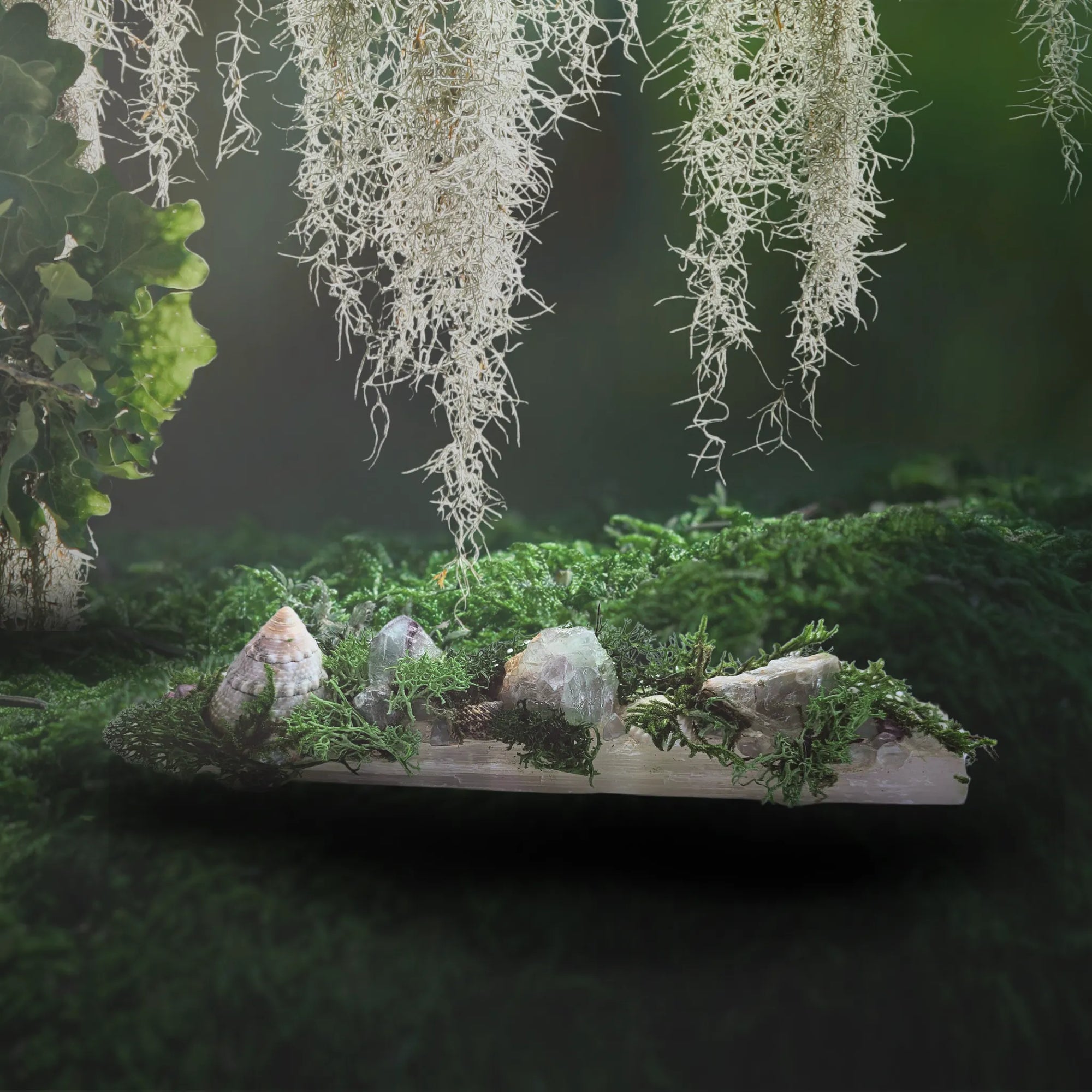 Handmade crystal forest featuring fluorite and shells on selenite slab with moss – photographed in natural setting by Moss & Raven Australia

