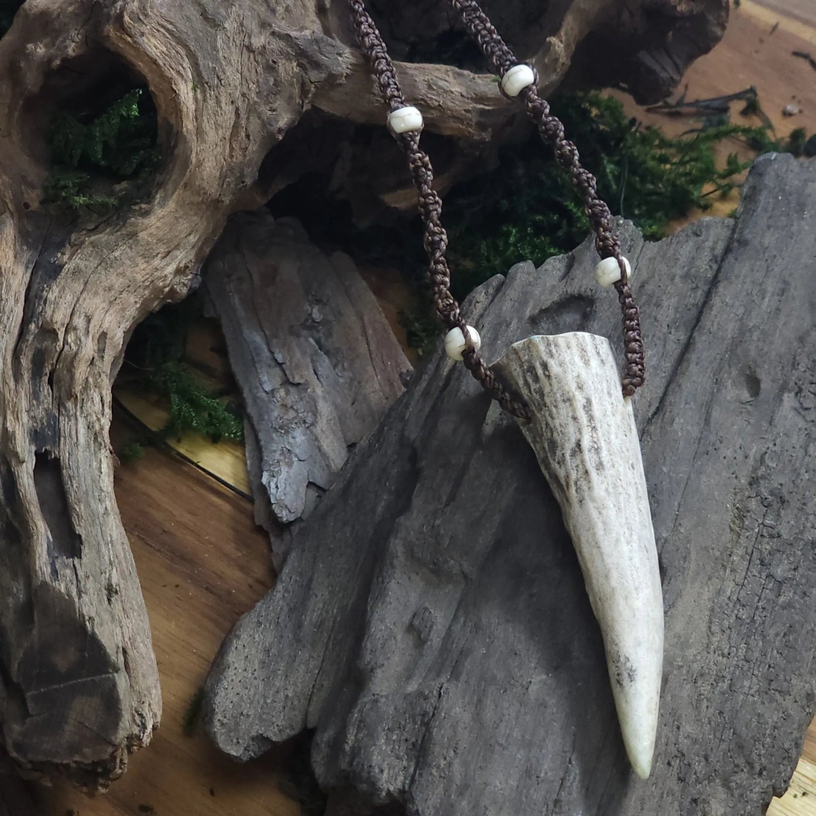 Top-down view of handcrafted deer tip necklace with brow cord and earthy display setting.