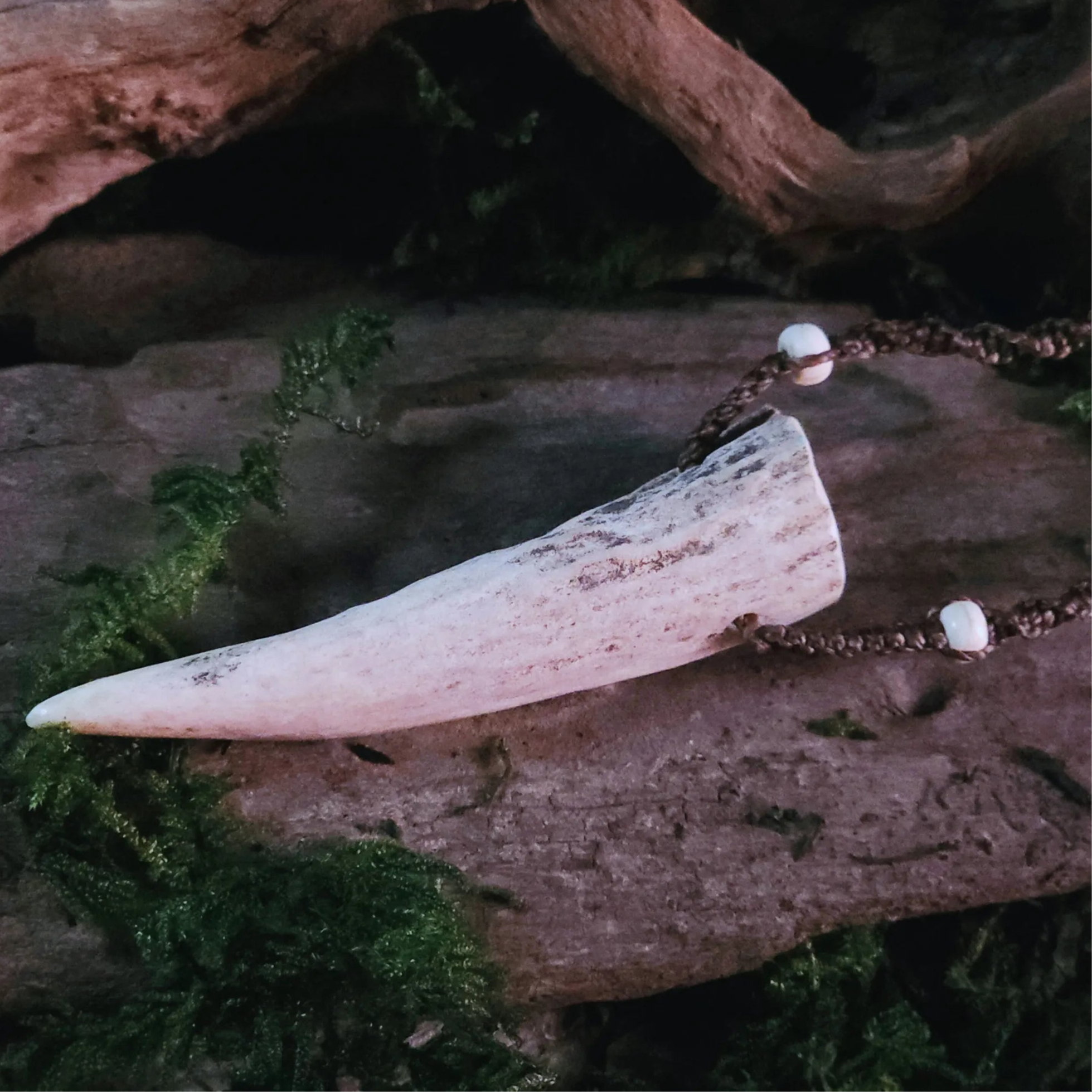 Necklace featuring deer antler tip and howlite beads, displayed on rustic wood background.