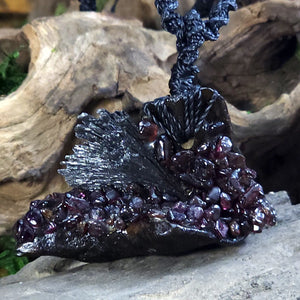 Close-up of raw black kyanite fanned outward like a broom, with natural garnet crystals clustered at the base, mounted on driftwood.