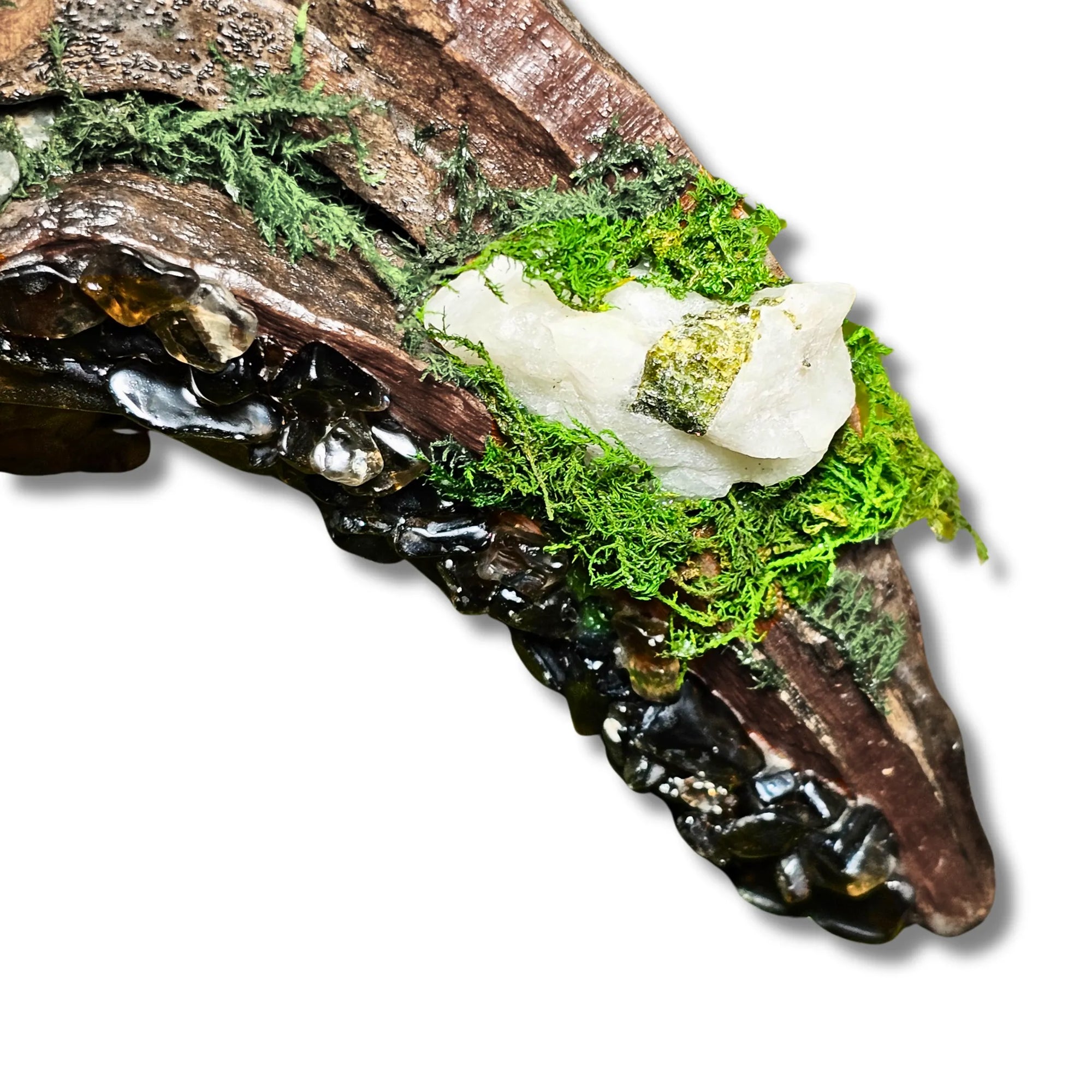 Wyrdwood crystal forest by Moss & Raven on white background. Features Moss Agate, Ocean Jasper, Smokey Quartz, Green Tourmaline, mushroom, moss, driftwood, acorn, and pine cone.